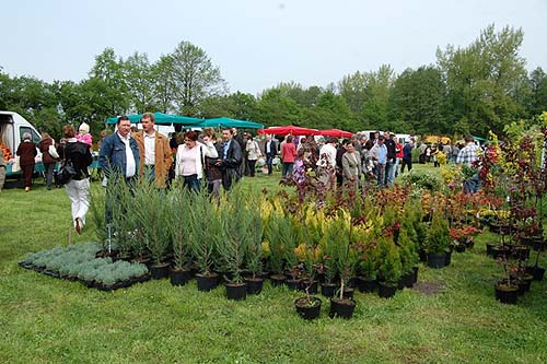 Wystawa Ogrodniczo-Rolnicza w Kaczkach