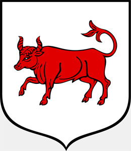 Niezwykłe posiedzenie Rady Miejskiej