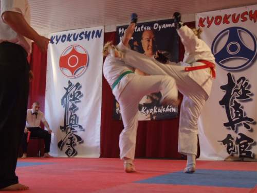 Mistrzostwa Wielkopolski w Walkach kontaktowych