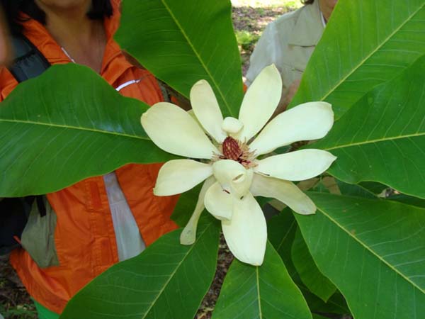 Turkowscy ekolodzy w arboretum
