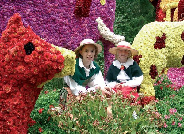 Święto Kwiatów w zasięgu ręki. Poznaj Wiesmoor