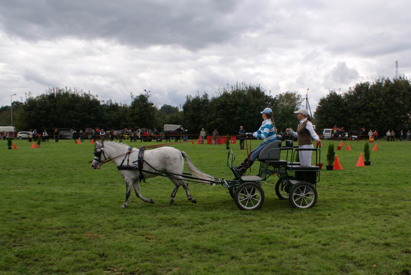 VIII Otwarte Mistrzostwa Powiatu Tureckiego w Powożeniu Zaprzęgami
