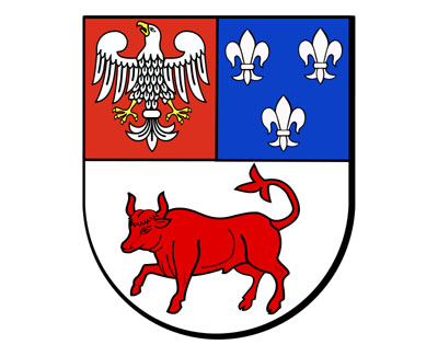 Wyniki głosowań na wójtów i burmistrzów