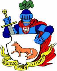 Tuliszków: XIX Finał WOŚP