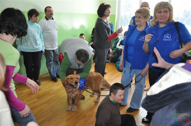 Dogoterapia w SOSW w Turku