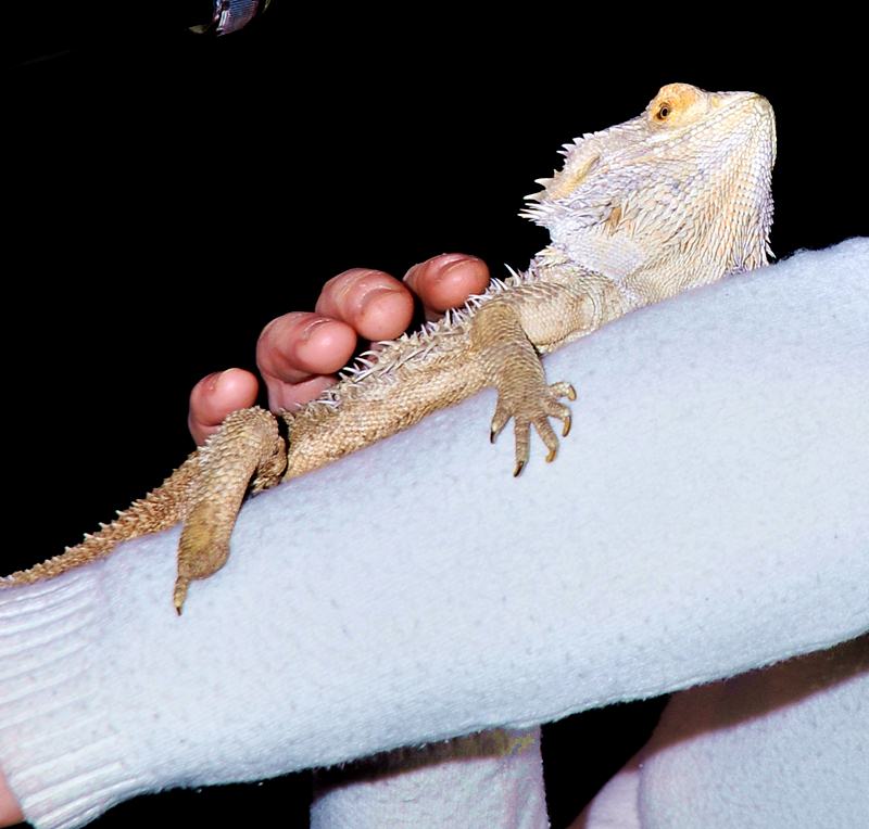 Łódzkie ZOO w Turku 