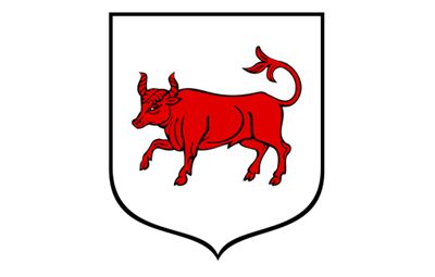 VI Sesja Rady Miejskiej Turku