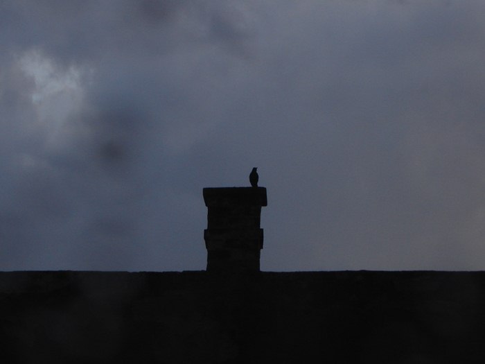 Mieszkańcy ul. Matejki: