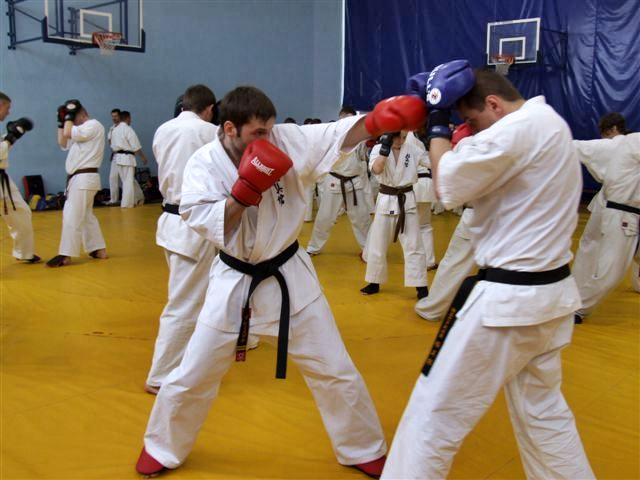Zgrupowanie K1-kickboxing-karate