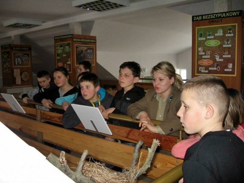 Zajęcia w Izbie Edukacyjnej Nadleśnictwa Turek