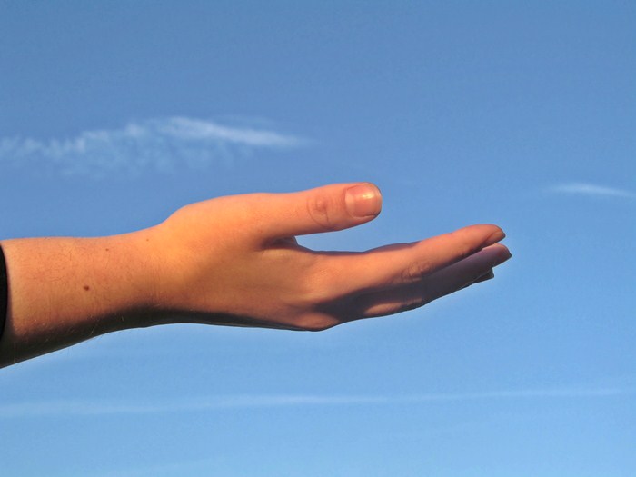 Asystent Rodziny w Trampolinie