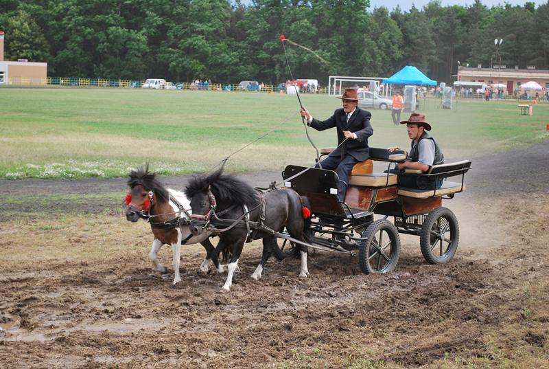 Zawody konne w Tuliszkowie