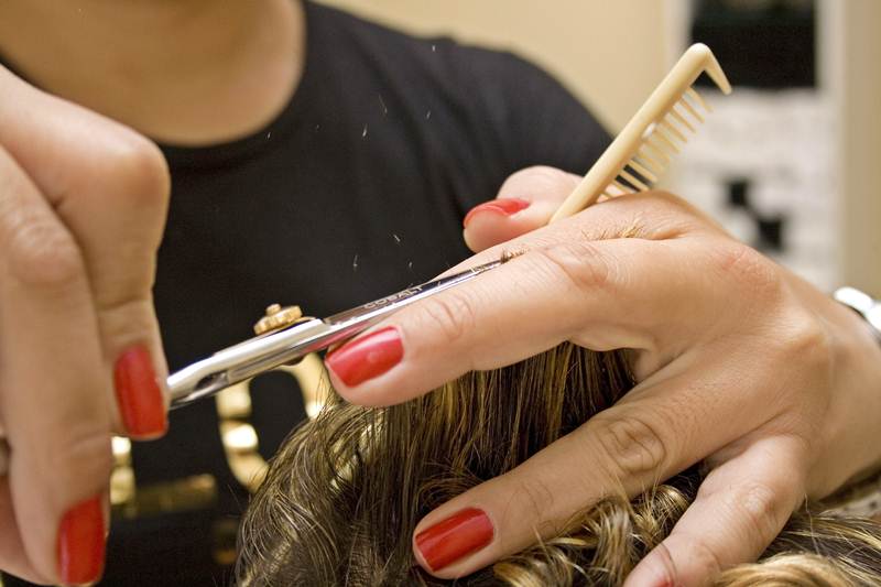 Kolejna edycja projektu 