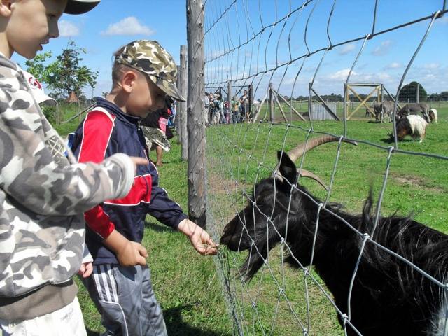 Malanowianie w Zoo Safari  - Źródło: www.gckis.malanow.pl