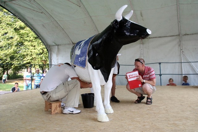 Koźmin najlepszym sołectwem