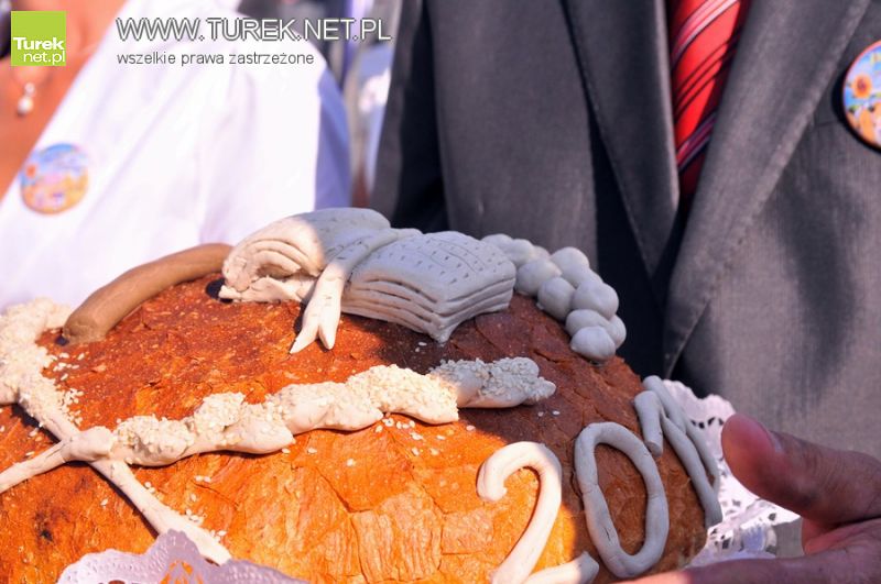 Dożynkowa krytyka radnego Pańczyka