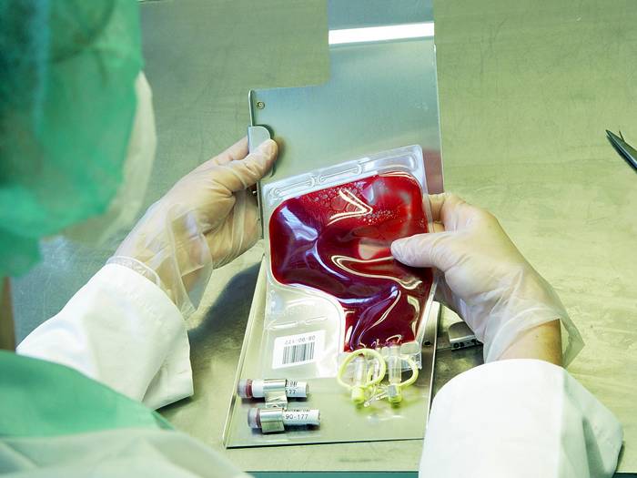 Oddaj krew razem z Muszkieterami! - Źródło: sxc.hu / Marzena Osuchowicz