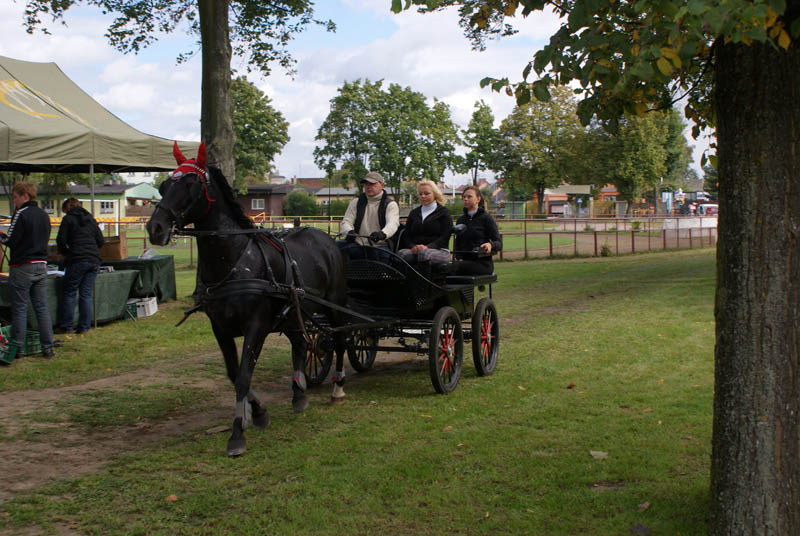 Końska rywalizacja już w niedzielę