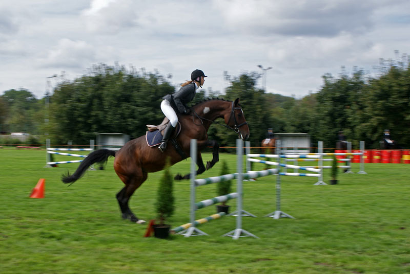 Końska rywalizacja już w niedzielę