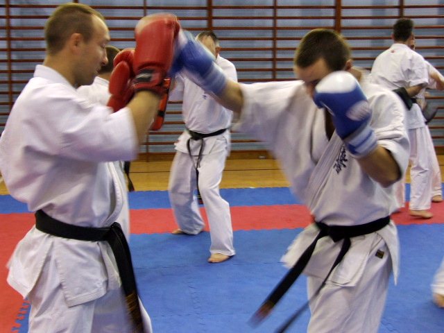 Karate: Szkolili trenerów