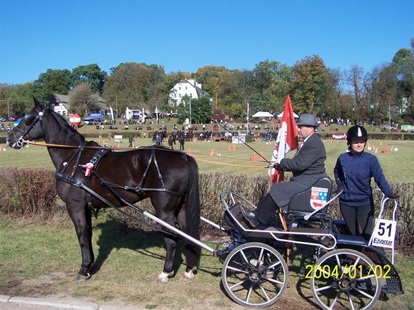 Manitou i Lord reprezentowały powiat