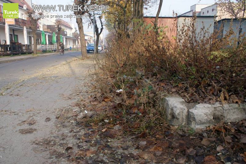 Brudny Mickiewicz - Chaszczy ci u nas dostatek... 