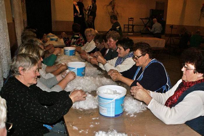 Darli pierze w Bibiannie