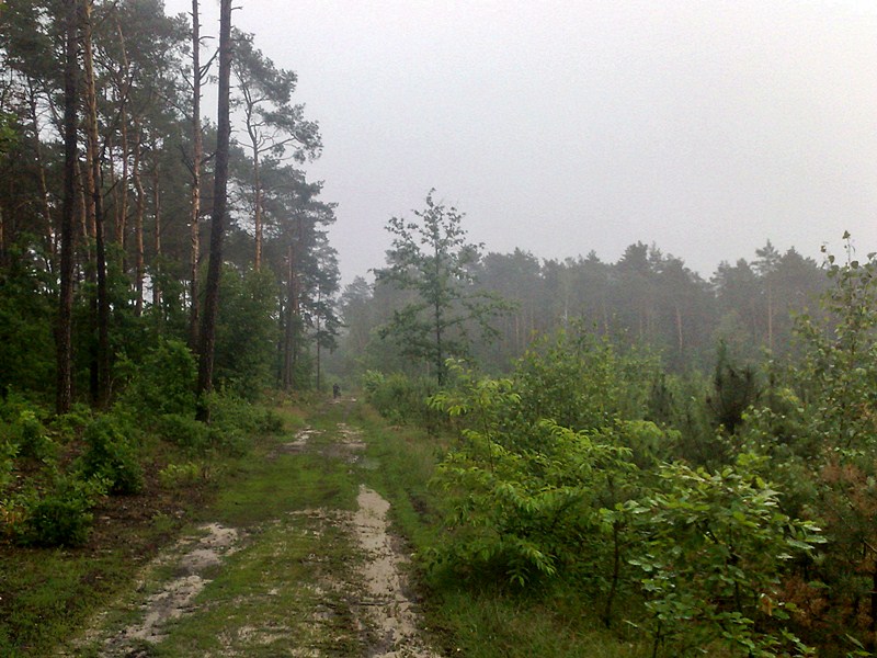 Lepsza strona okolicy