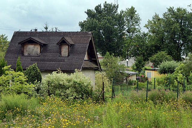 SLD staje w obronie działkowców - Fot. A. Wszędybył