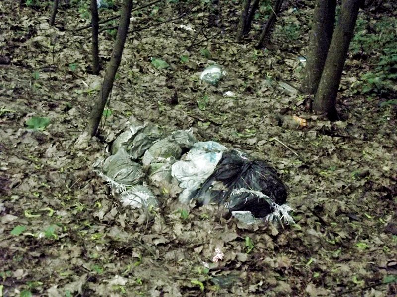 Piknik w lesie czy na wysypisku?