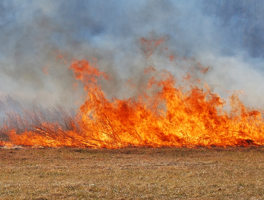 W Bierzmie spłonęło 20 arów zboża  - Foto: sxc.hu / Bill Silvermintz