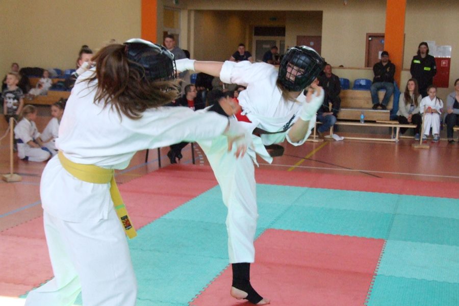 Karate: Mistrzostwa Polski Zachodniej w Malanowie