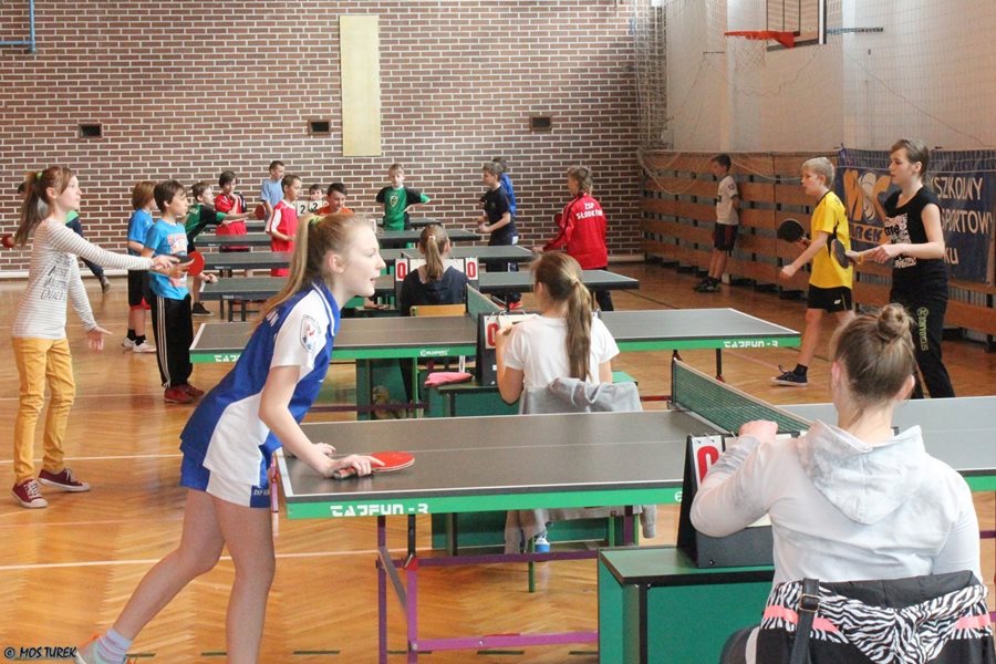 Mistrzostwa ping-ponga