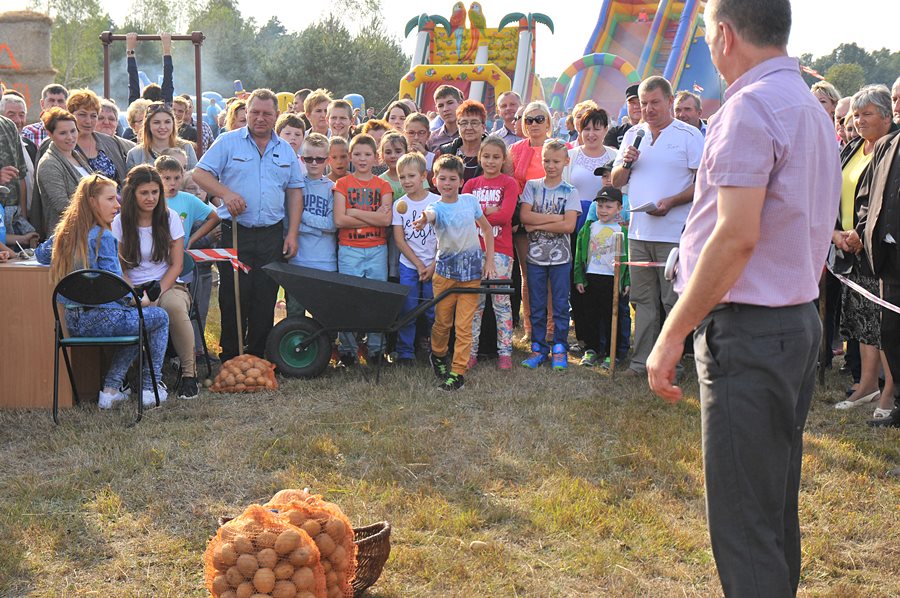 Pieczone ziemniaki od najmłodszego sołtysa w Wielkopolsce - foto: M. Derucki