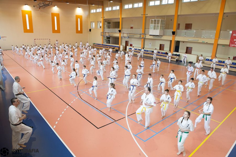 Karate: Egzamin w Malanowie - foto: Robert Łajdecki