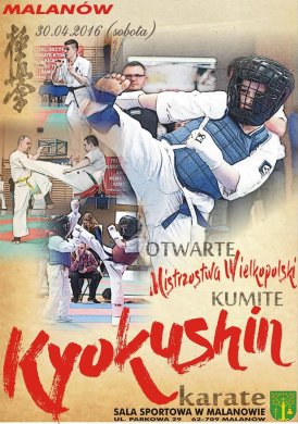 Mistrzostwa Wlkp. Karate Kyokushin