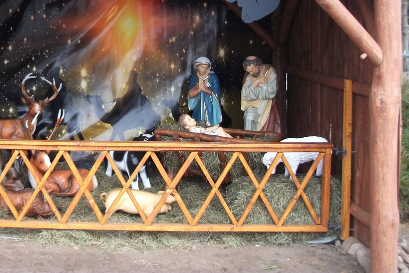 Jezus Malusieńki narodził się w Wyszynie, wśród  stajenki 