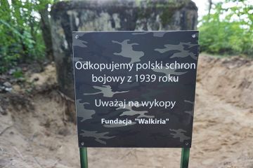 Gm. Władysławów: 