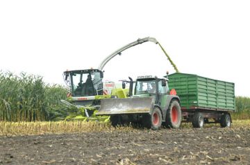 Głuchów: Rolnicy podziwiali kukurydzę i nowoczesne maszyny - foto: Arkadiusz Wszędybył