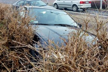 Turek: Wjechał BMW w żywopłot
