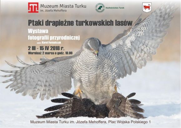Wystawa: Ptaki drapieżne Turkowskich lasów