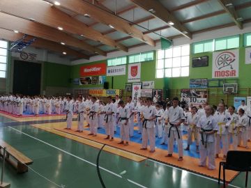 Otwarty Puchar Wielkopolski Karate w Kole - foto: materiał nadesłany