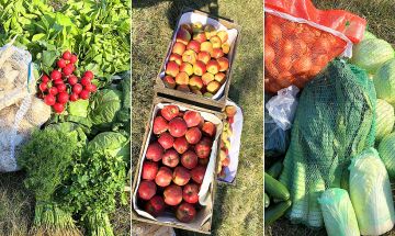 Zamów świeże polskie warzywa i owoce prosto...