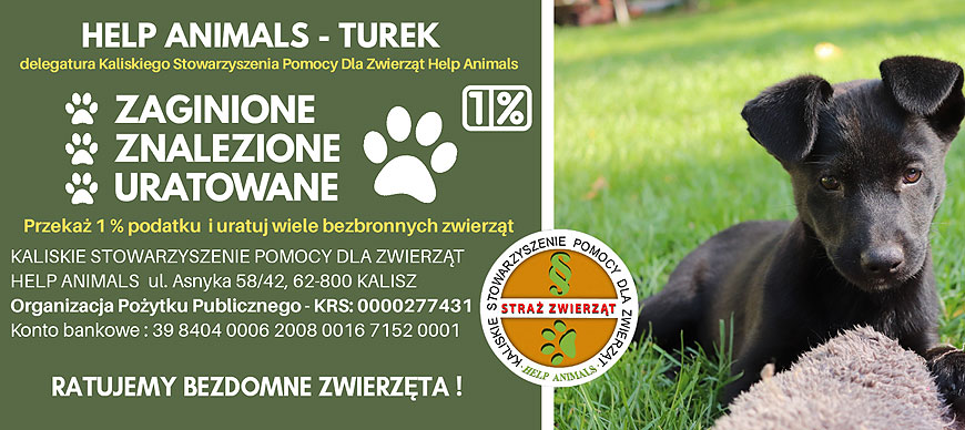 1% lokalnie: Wspieraj zwierzaki, wspieraj Help Animals Turek