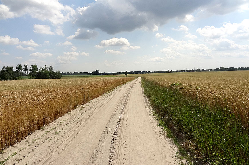 Gminy powiatu ze wsparciem 1 mln zł na drogi dojazdowe dla rolników. Urząd Marszałkowski ogłosił wyniki naboru wniosków.
