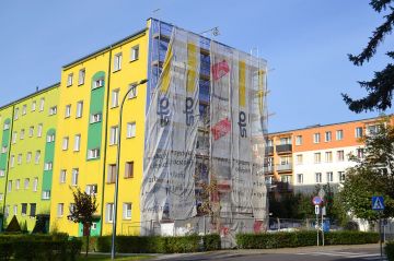 Wideo: W Turku powstaje pierwszy ptasi Mural. Grupa OTOP apeluje o wsparcie pomysłu.