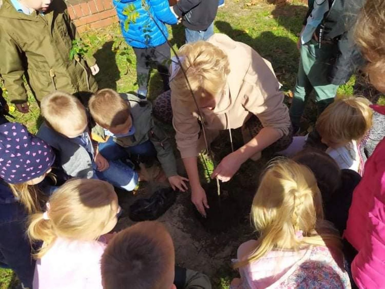 Dzieci z Tęczowego Przedszkola sadziły drzewa i poznawały tajemnice lasu w ramach akcji #sadziMY