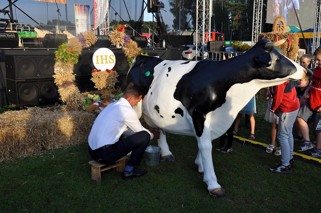 Krowa szybko wydojona, lina mocno naprężona! Oryginalne konkursy na dożynkach w Malanowie - fot.: CKiBP w Malanowie