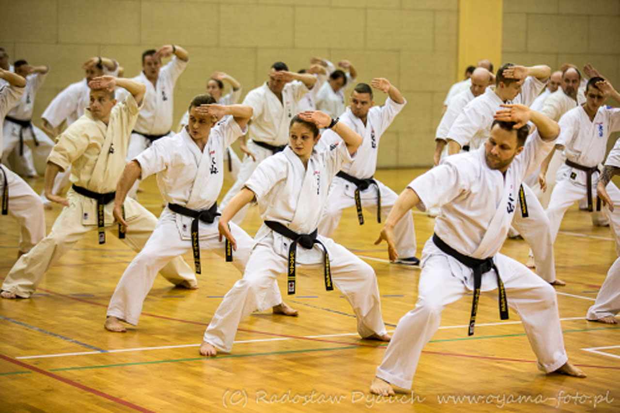 Wyjątkowe szkolenie w Turku. Mistrzowskie Kata i narada szefów klubów Oyama Karate - fot.: Turkowski Klub Oyama Karate
