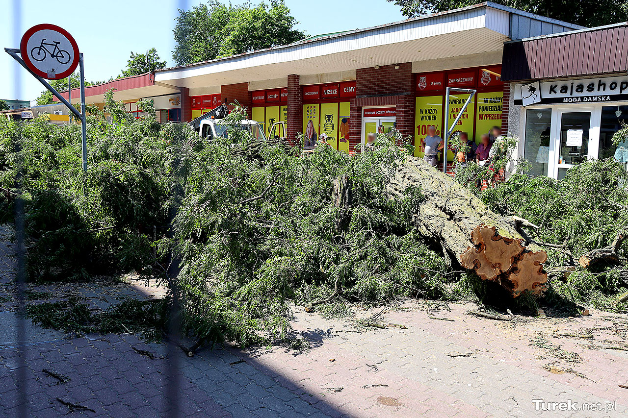 Modernizacja zaczęła się od wycinki drzew. Ruszyły prace na deptaku 650-lecia w Turku - fot.: Michał Sidorowicz